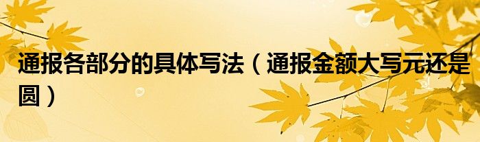 通报各部分的具体写法（通报金额大写元还是圆）