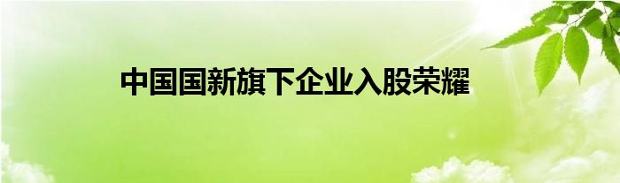 中国国新旗下企业入股荣耀