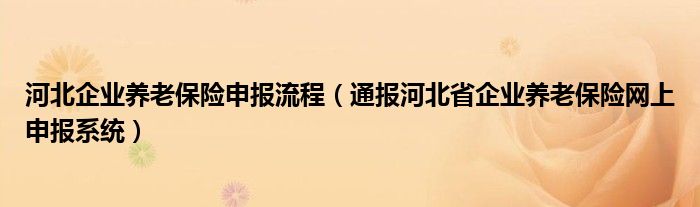 河北企业养老保险申报流程（通报河北省企业养老保险网上申报系统）