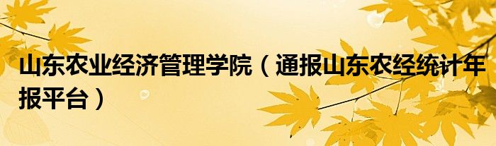 山东农业经济管理学院（通报山东农经统计年报平台）