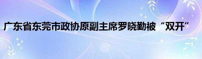 广东省东莞市政协原副主席罗晓勤被“双开”