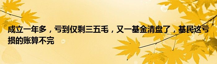 成立一年多，亏到仅剩三五毛，又一基金清盘了，基民这亏损的账算不完