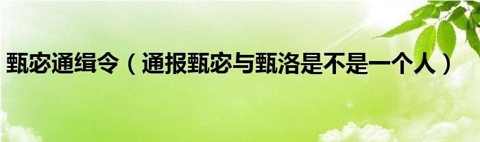 甄宓通缉令（通报甄宓与甄洛是不是一个人）