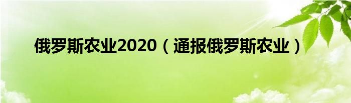 俄罗斯农业2020（通报俄罗斯农业）