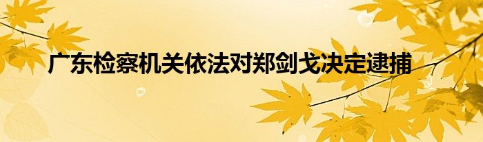 广东检察机关依法对郑剑戈决定逮捕