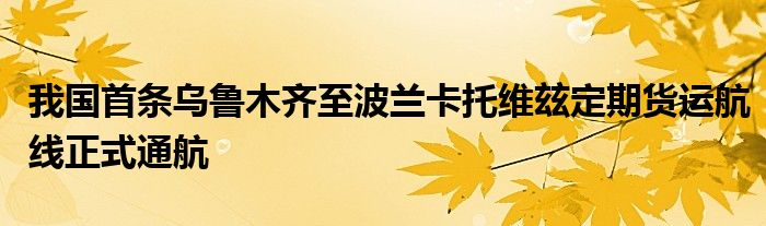 我国首条乌鲁木齐至波兰卡托维玆定期货运航线正式通航