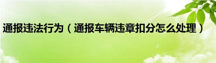 通报违法行为（通报车辆违章扣分怎么处理）