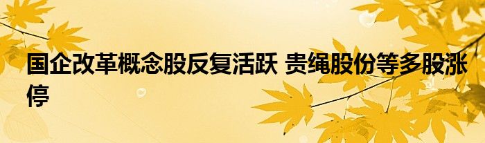 国企改革概念股反复活跃 贵绳股份等多股涨停