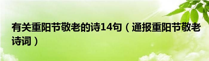 有关重阳节敬老的诗14句（通报重阳节敬老诗词）