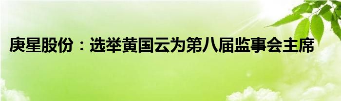 庚星股份：选举黄国云为第八届监事会主席