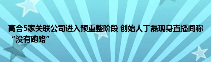 高合5家关联公司进入预重整阶段 创始人丁磊现身直播间称“没有跑路”