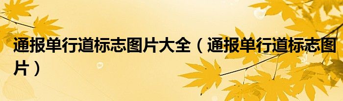 通报单行道标志图片大全（通报单行道标志图片）