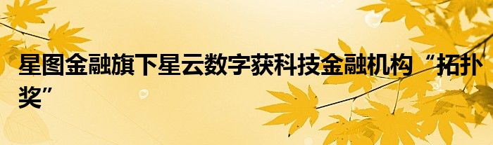 星图金融旗下星云数字获科技金融机构“拓扑奖”