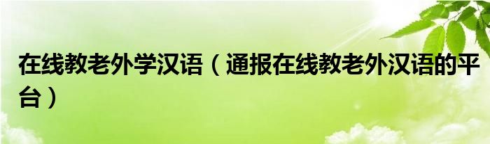 在线教老外学汉语（通报在线教老外汉语的平台）