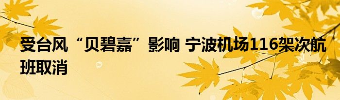 受台风“贝碧嘉”影响 宁波机场116架次航班取消