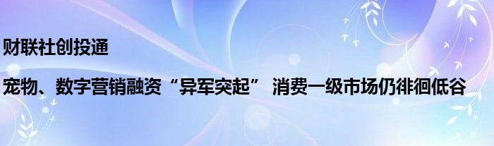 财联社创投通|宠物、数字营销融资“异军突起” 消费一级市场仍徘徊低谷