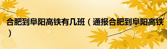 合肥到阜阳高铁有几班（通报合肥到阜阳高铁）