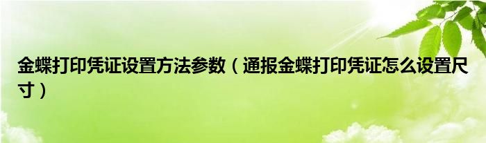 金蝶打印凭证设置方法参数（通报金蝶打印凭证怎么设置尺寸）