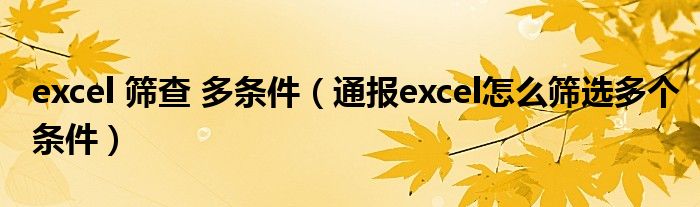 excel 筛查 多条件（通报excel怎么筛选多个条件）