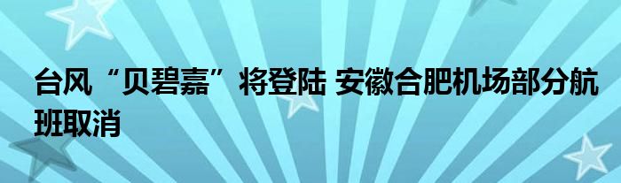 台风“贝碧嘉”将登陆 安徽合肥机场部分航班取消