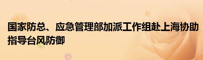 国家防总、应急管理部加派工作组赴上海协助指导台风防御