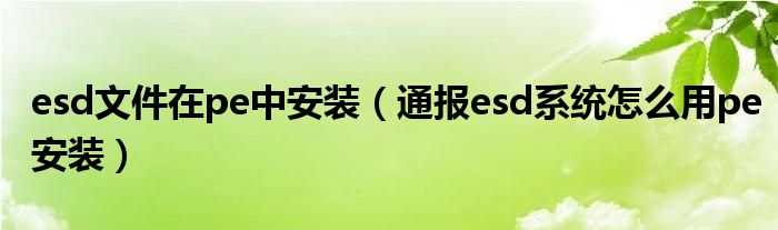 esd文件在pe中安装（通报esd系统怎么用pe安装）