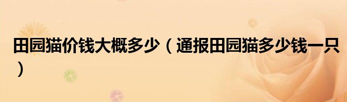 田园猫价钱大概多少（通报田园猫多少钱一只）