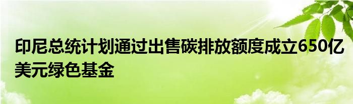 印尼总统计划通过出售碳排放额度成立650亿美元绿色基金