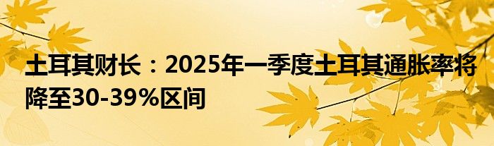 土耳其财长：2025年一季度土耳其通胀率将降至30-39%区间