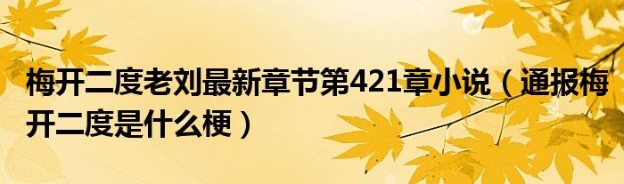 梅开二度老刘最新章节第421章小说（通报梅开二度是什么梗）