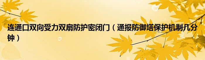 连通口双向受力双扇防护密闭门（通报防御塔保护机制几分钟）