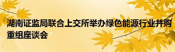 湖南证监局联合上交所举办绿色能源行业并购重组座谈会