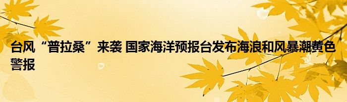 台风“普拉桑”来袭 国家海洋预报台发布海浪和风暴潮黄色警报