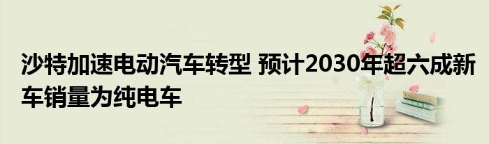 沙特加速电动汽车转型 预计2030年超六成新车销量为纯电车