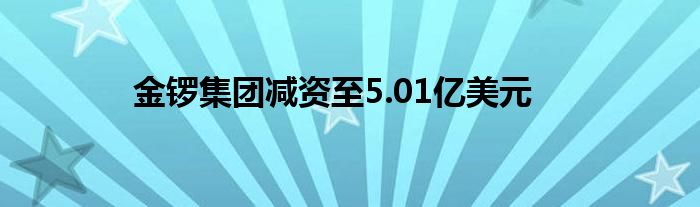 金锣集团减资至5.01亿美元