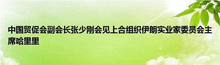 中国贸促会副会长张少刚会见上合组织伊朗实业家委员会主席哈里里