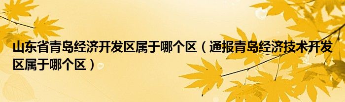 山东省青岛经济开发区属于哪个区（通报青岛经济技术开发区属于哪个区）