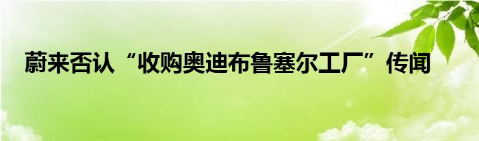 蔚来否认“收购奥迪布鲁塞尔工厂”传闻