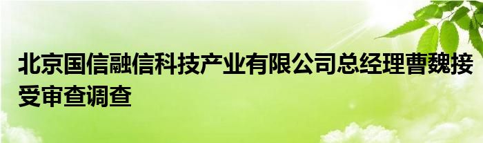 北京国信融信科技产业有限公司总经理曹魏接受审查调查