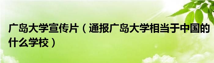 广岛大学宣传片（通报广岛大学相当于中国的什么学校）