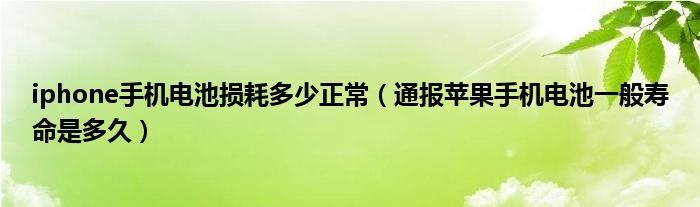 iphone手机电池损耗多少正常（通报苹果手机电池一般寿命是多久）