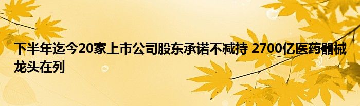 下半年迄今20家上市公司股东承诺不减持 2700亿医药器械龙头在列