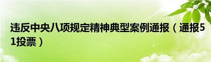 违反中央八项规定精神典型案例通报（通报51投票）