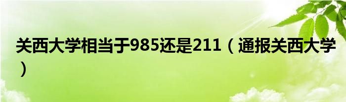 关西大学相当于985还是211（通报关西大学）