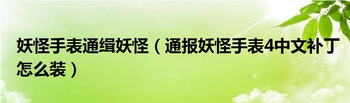 妖怪手表通缉妖怪（通报妖怪手表4中文补丁怎么装）