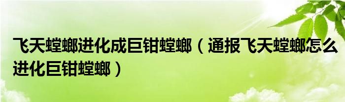 飞天螳螂进化成巨钳螳螂（通报飞天螳螂怎么进化巨钳螳螂）