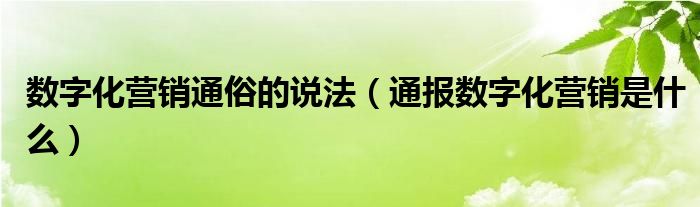 数字化营销通俗的说法（通报数字化营销是什么）