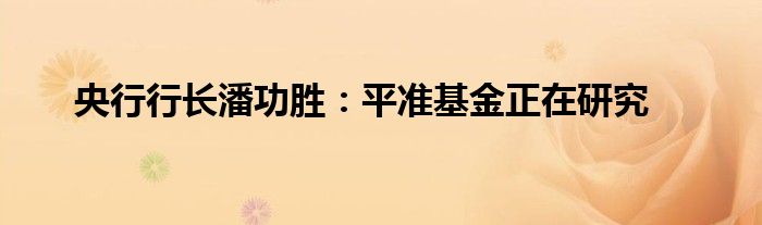 央行行长潘功胜：平准基金正在研究