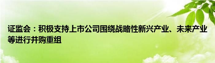 证监会：积极支持上市公司围绕战略性新兴产业、未来产业等进行并购重组