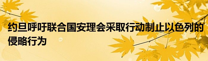 约旦呼吁联合国安理会采取行动制止以色列的侵略行为